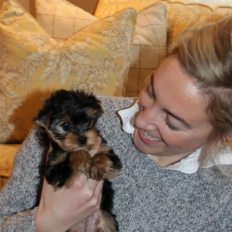 Puppies Playing